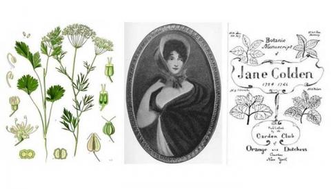 Primera mujer científica botánica